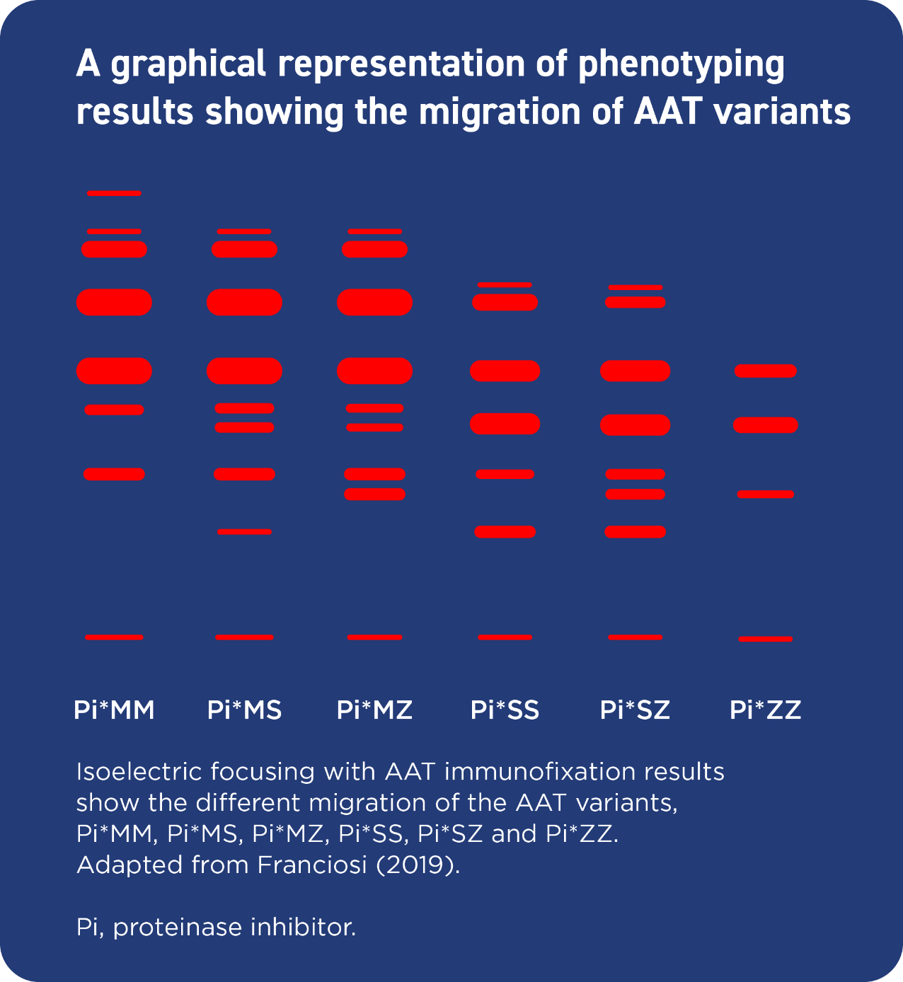 Phenotyping results showing the migration
                            of AAT variants.